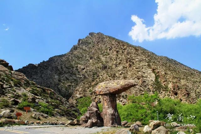 宁夏回族自治区一般包邮不,无货源内蒙和宁夏包邮吗