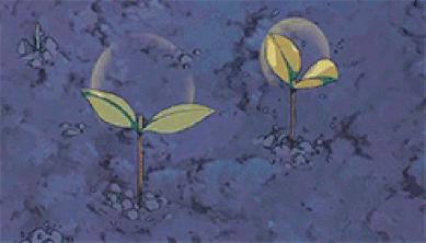 邮轮工作对身体有害吗,邮轮工作靠谱吗