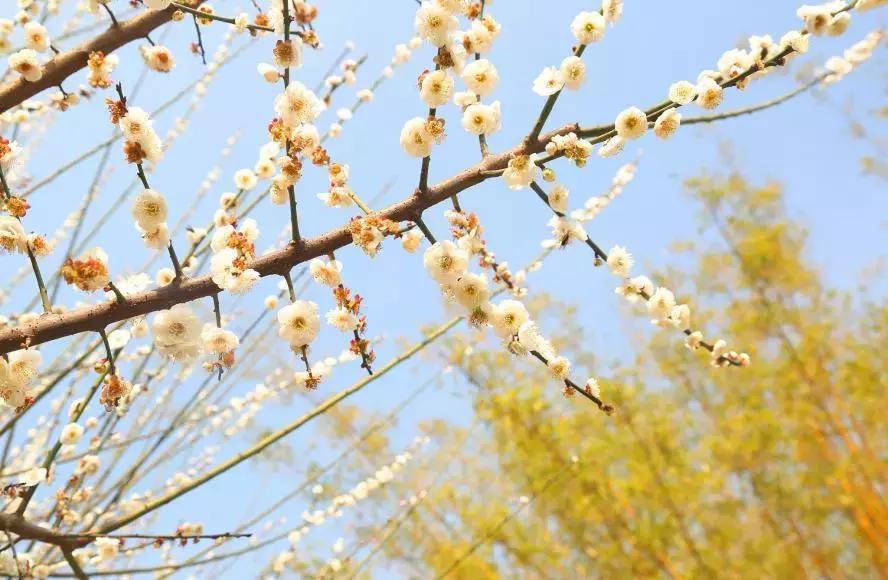 红蓝绿黑你喜欢什么色,红绿蓝清新配色