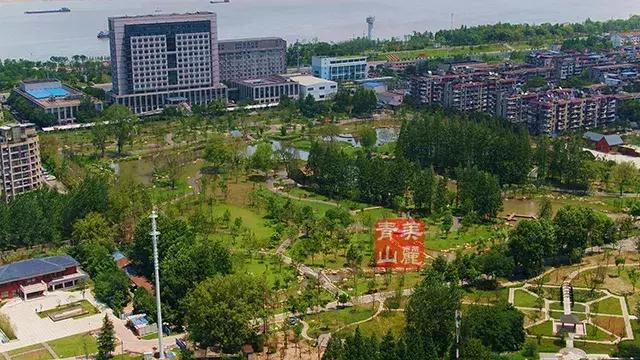 红蓝绿黑你喜欢什么色,红绿蓝清新配色