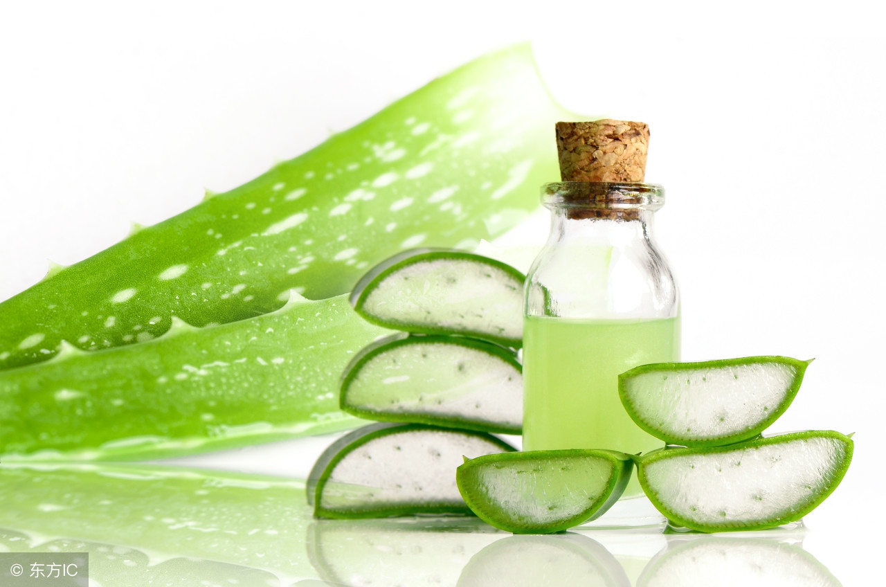 芦荟胶的功效与作用多少钱一盒,好芦荟胶的选择和功效