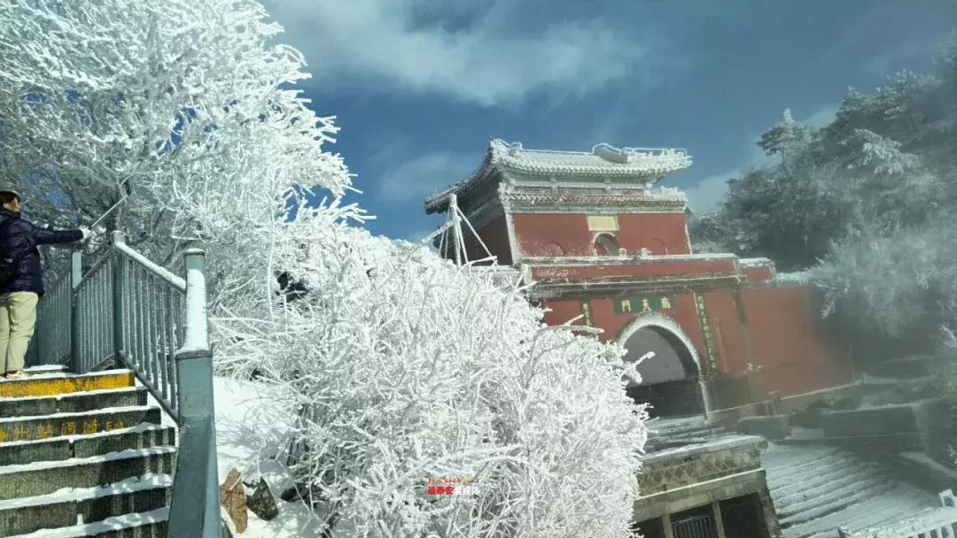 此刻泰山成了雪国，美到无言！高清美图来袭，“雪国的列车”即刻发车！