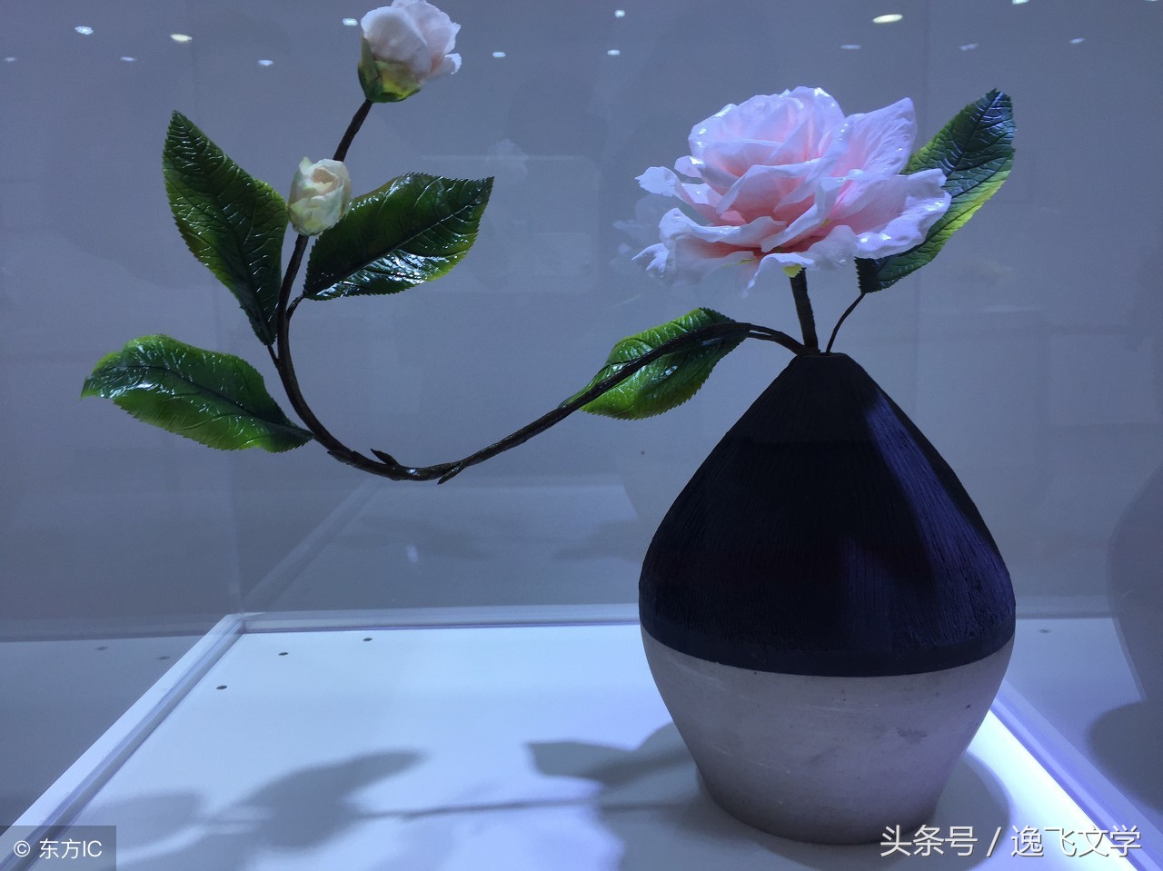 鍏充簬鐭汉灏忚,灏忚鐭汉涔嬬帇