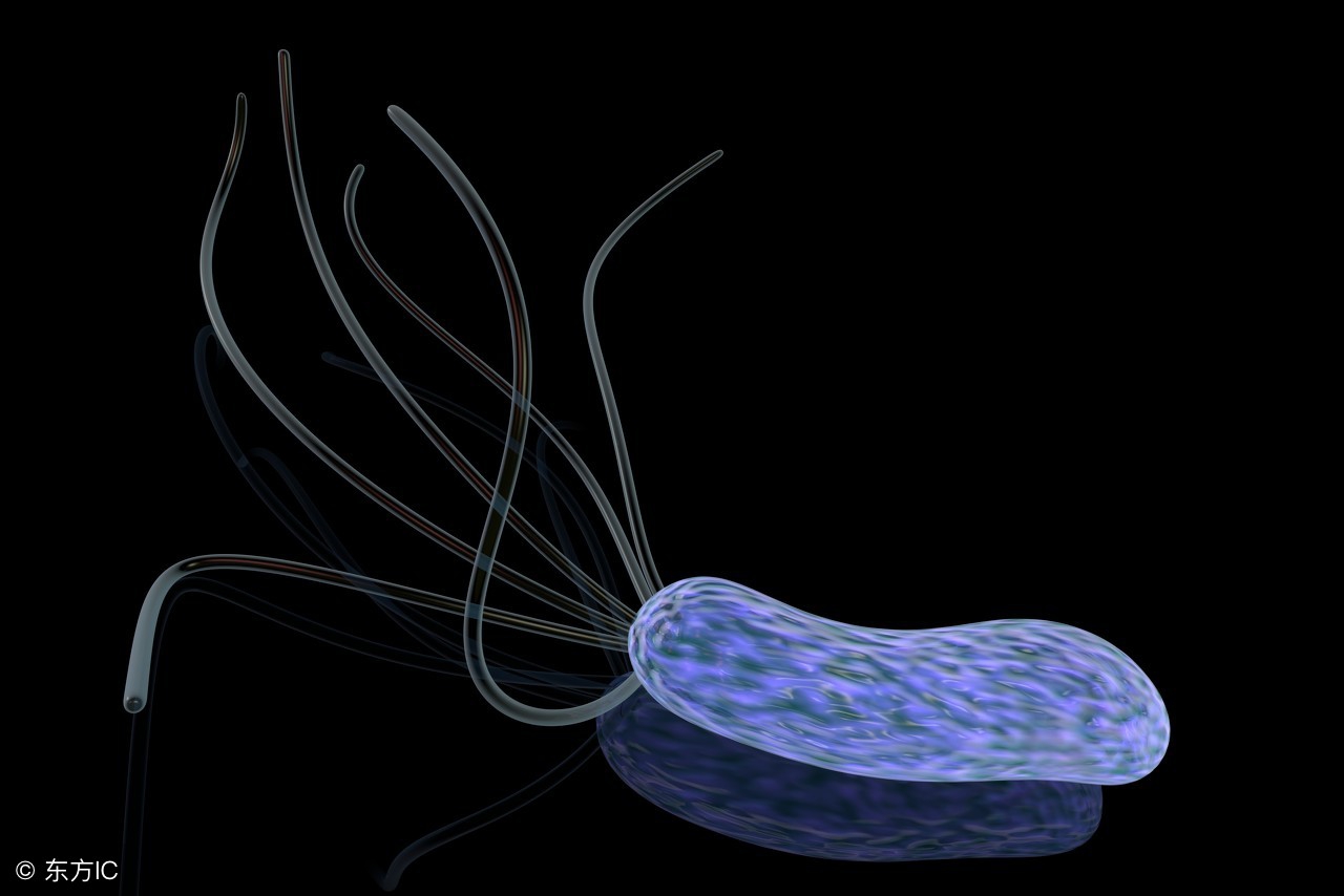 雷贝拉唑治疗幽门螺杆菌的方法,治疗幽门螺旋杆菌雷贝拉唑吃多久
