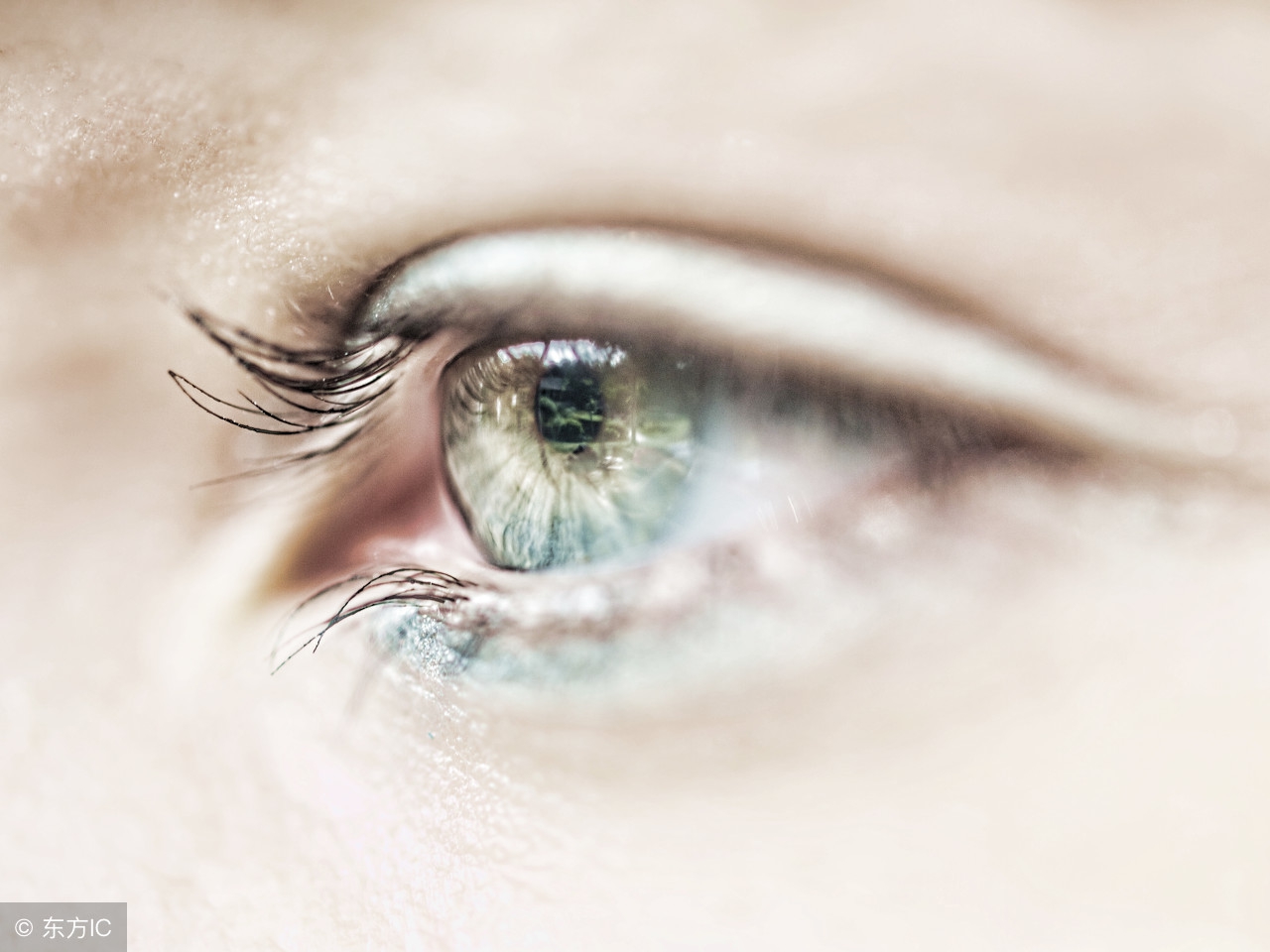 6类人不宜吃西瓜子,吃辣椒的危害与禁忌