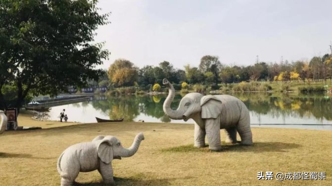 成都室内大型运动场地,周末可以打羽毛球的场子