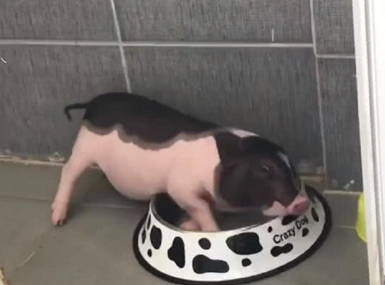 大学宿舍迷你洗衣机是不是违禁品,宿舍违禁品之洗衣机