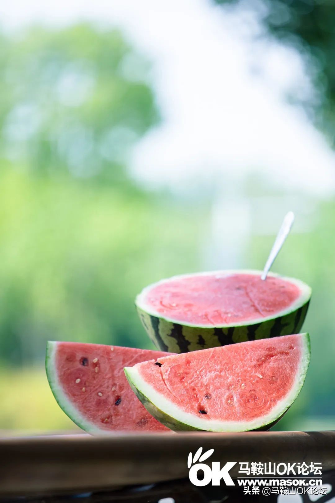 唰，就绿了！马鞍山夏天的n+1种样子