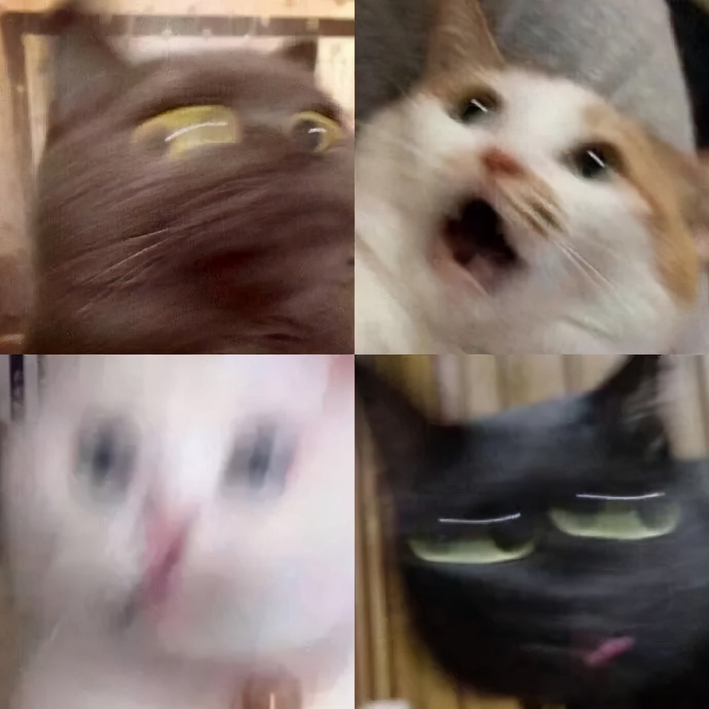 多少朋友圈逼王，在拼小圈社会性死亡