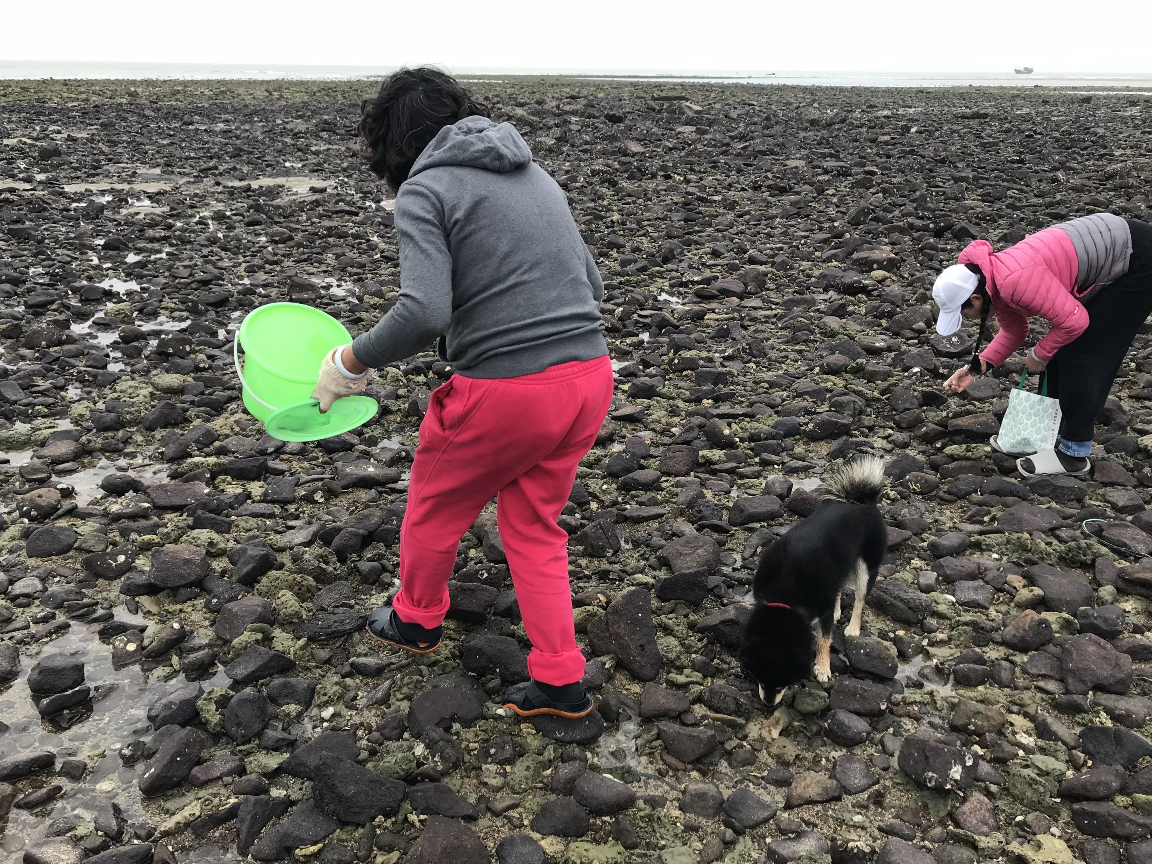 再说房车人是咋算账的；1212房车旅行车的事很担心；赶海