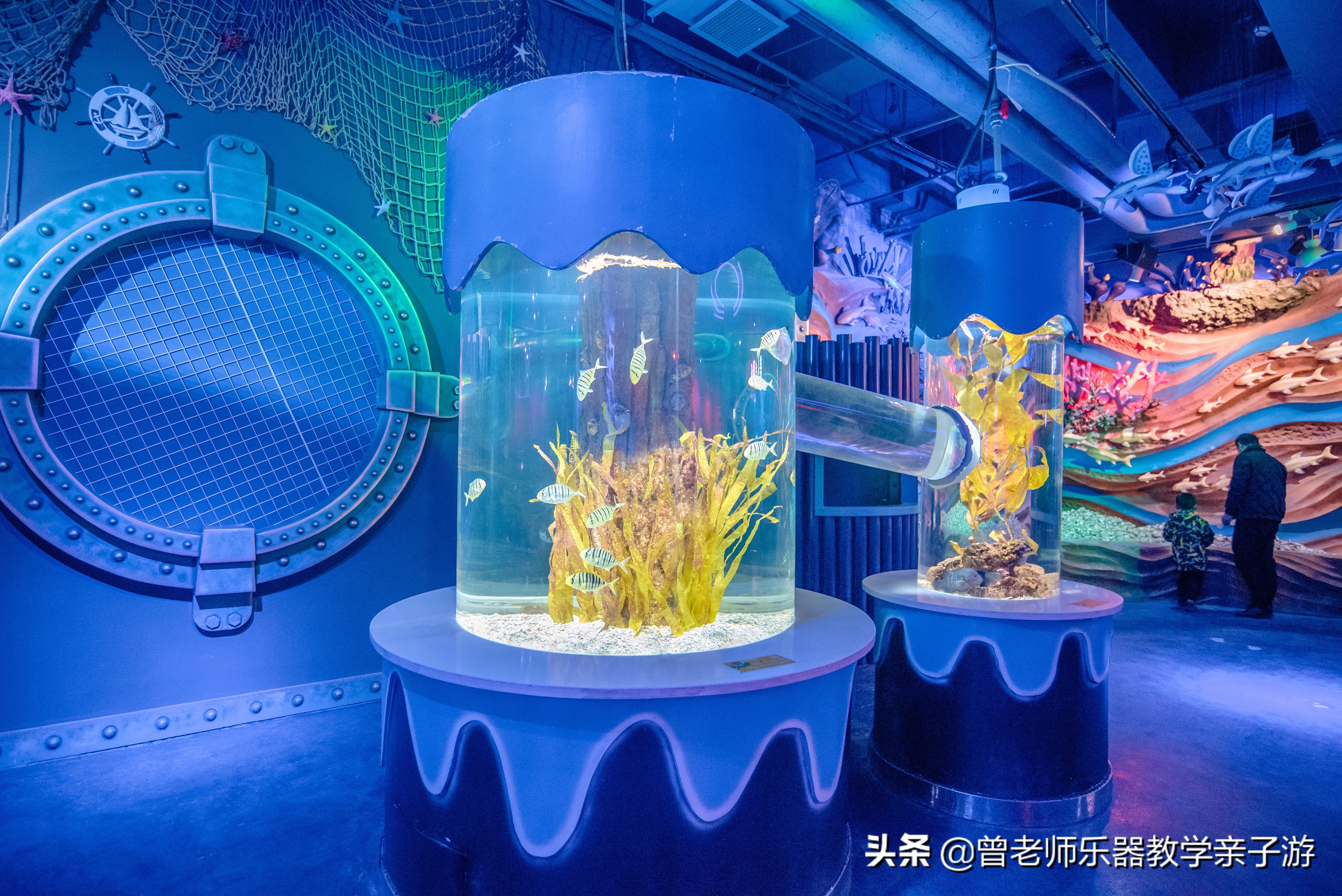 西安太奥海洋馆,西安极地海洋世界海豚表演