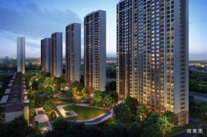 回力限量版鸳鸯鞋,回力鞋限量款