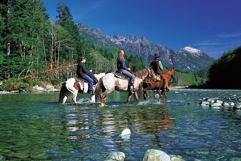 为什么富人都宜居在温哥华,为什么温哥华纬度高却不冷