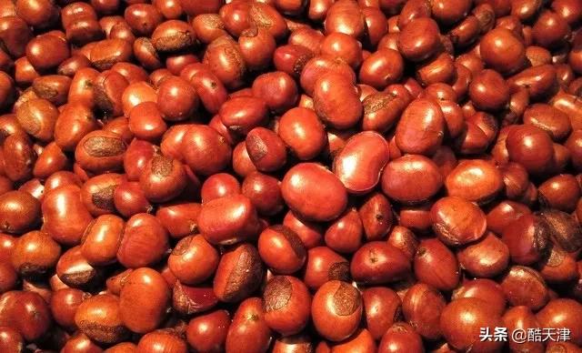 天津小时候零食有哪些,细数天津人记忆中的零食