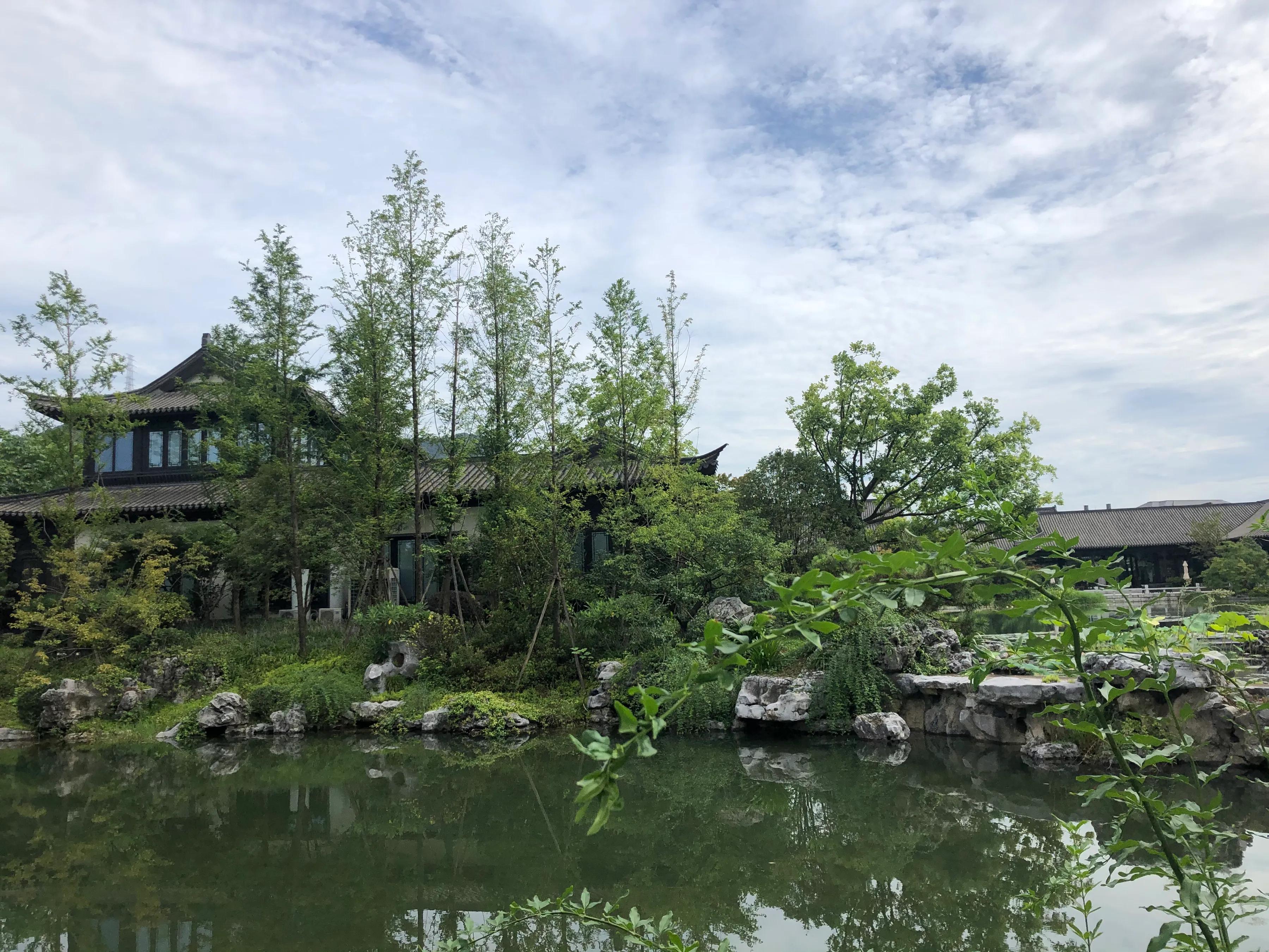 失智照护,失智照护技能