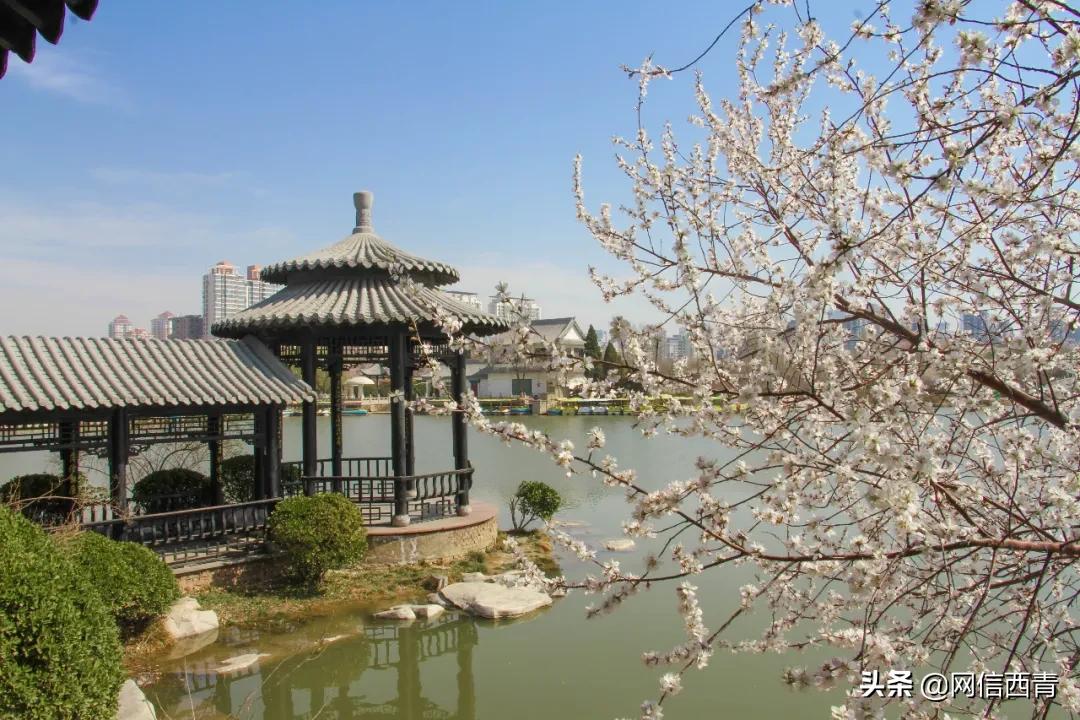 天津新开放的公园,天津水西公园现在恢复开放了吗