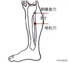 夏天艾灸和冬天艾灸,又到了艾灸的季节