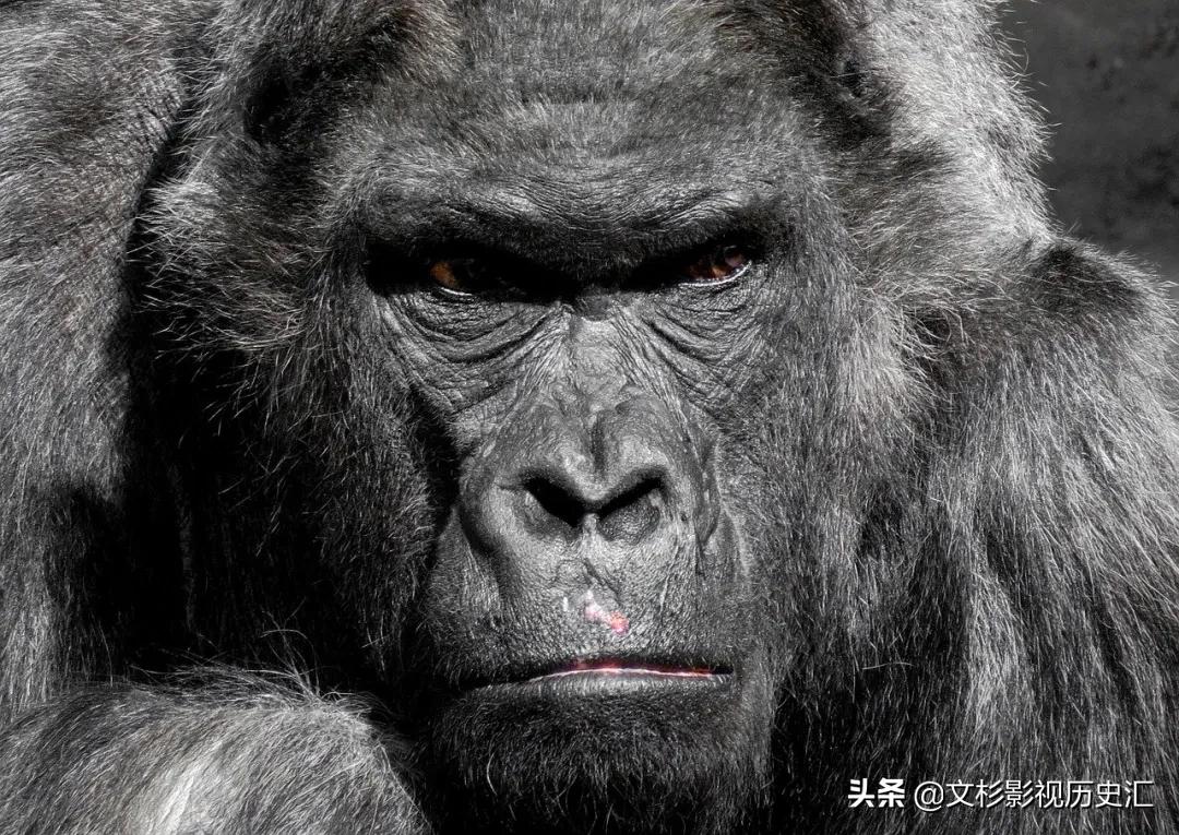 简短励志职场小故事及感悟,销售工作分享正能量小故事及感悟