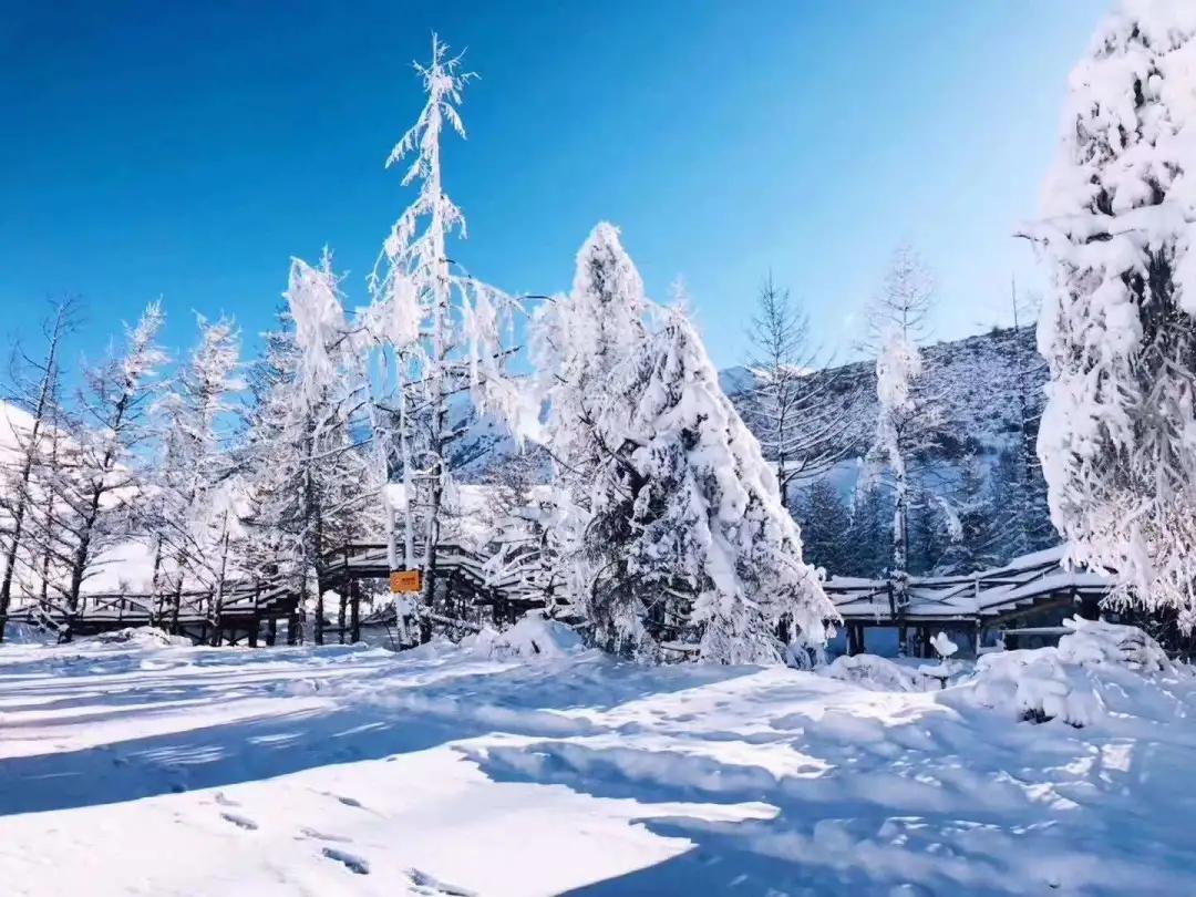 川西泡温泉看雪景,川西12月份最佳雪景泡温泉的地方