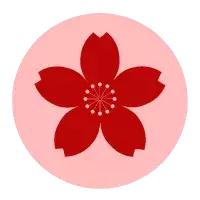 昨晚，10万个直播间彻夜不眠