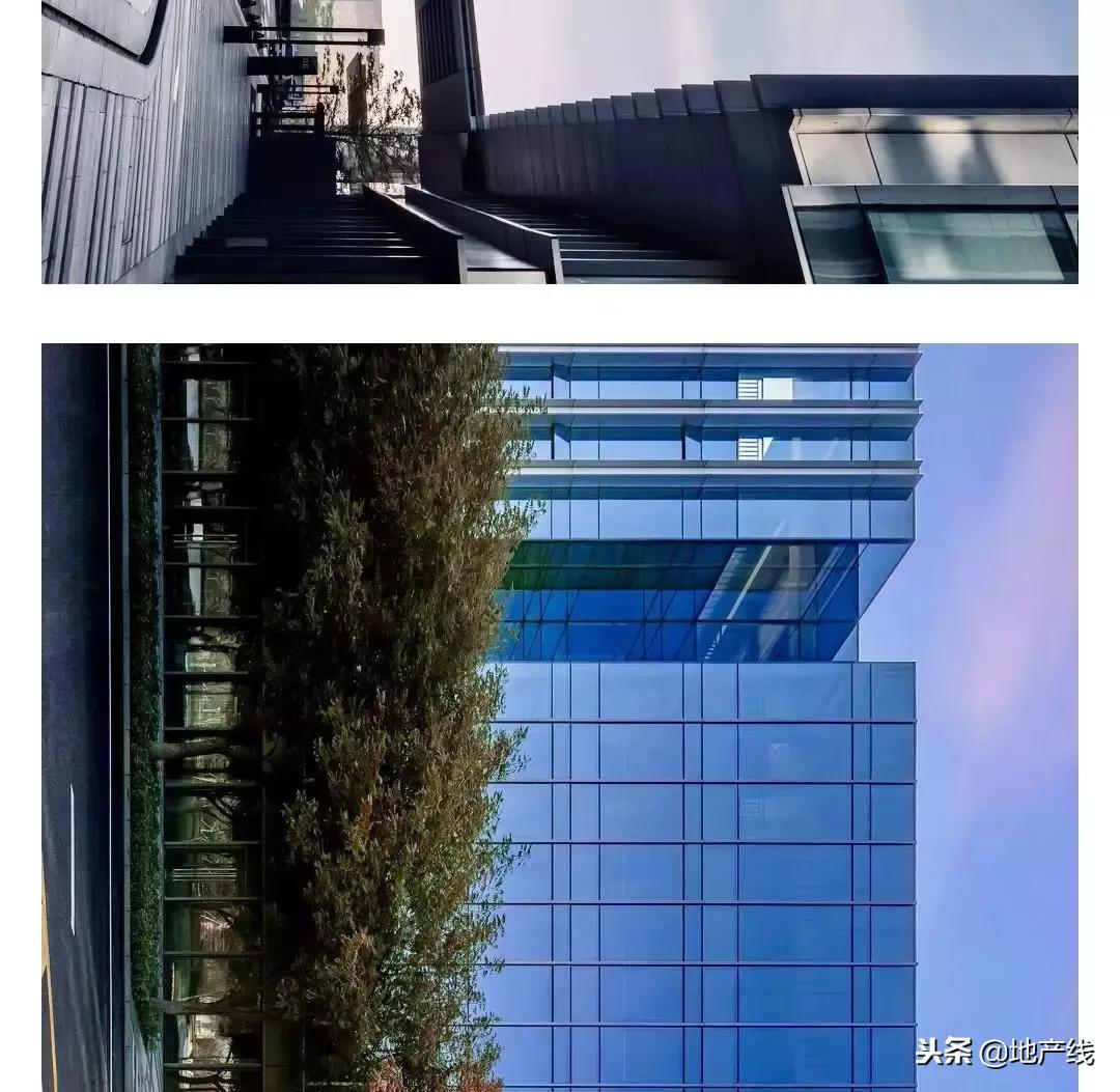 秋景鉴赏，开启多元生活上海中骏广场