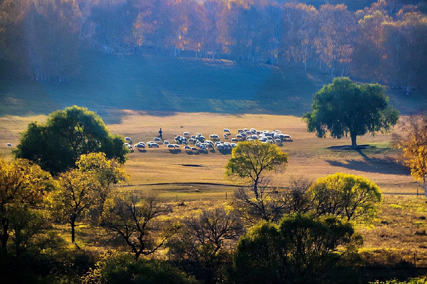 行摄美景,行摄塞外美景