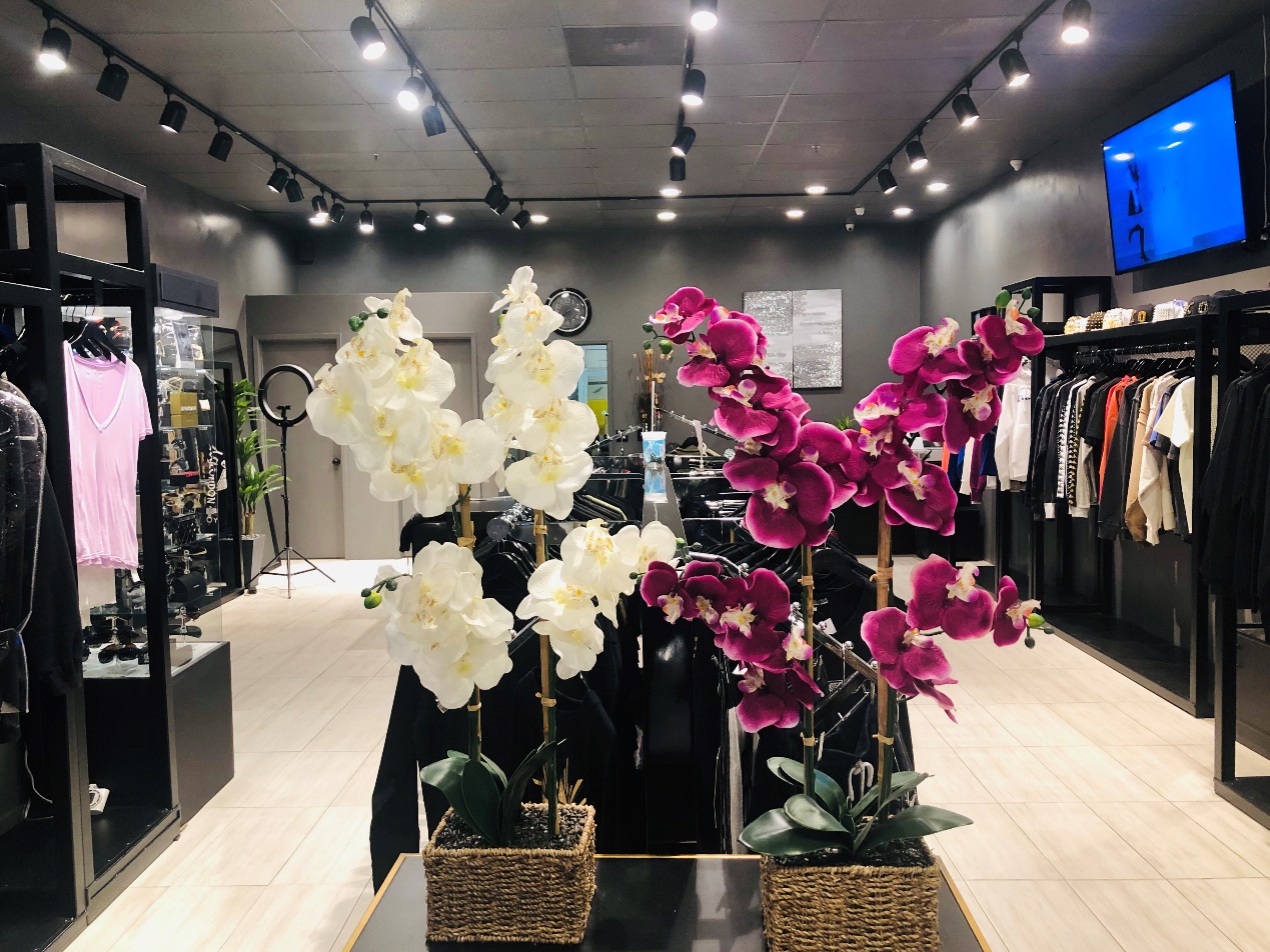 ezcook鍘ㄥ叿,ezcook鐗屽瓙