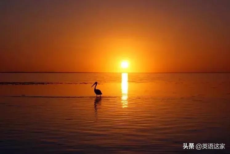 quick和fast的区别是什么,fast和quick到底有啥区别