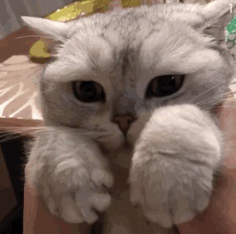 二本和三本院校的专科区别,一本二本三本和专科有什么区别吗