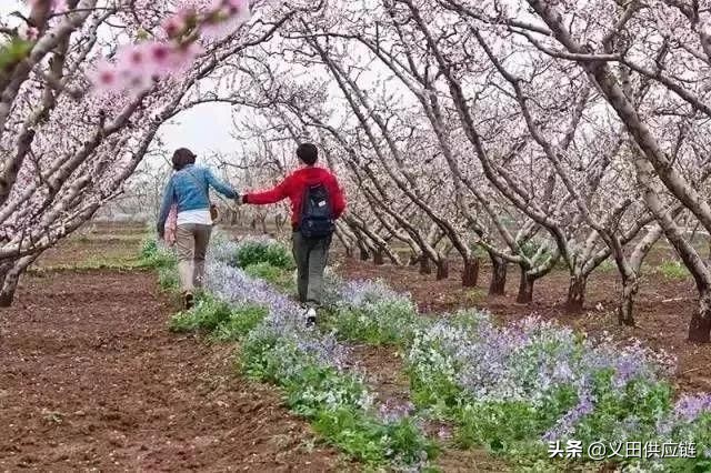 休闲农业如何开展渠道营销活动,互联网农业模式下农产品营销策略