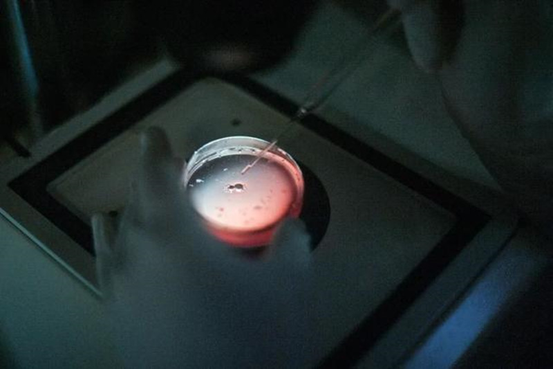 神奇孪生兄弟,神奇的两位双胞胎男孩