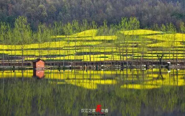 随便选个地方旅游,西安周边海边游玩景点推荐