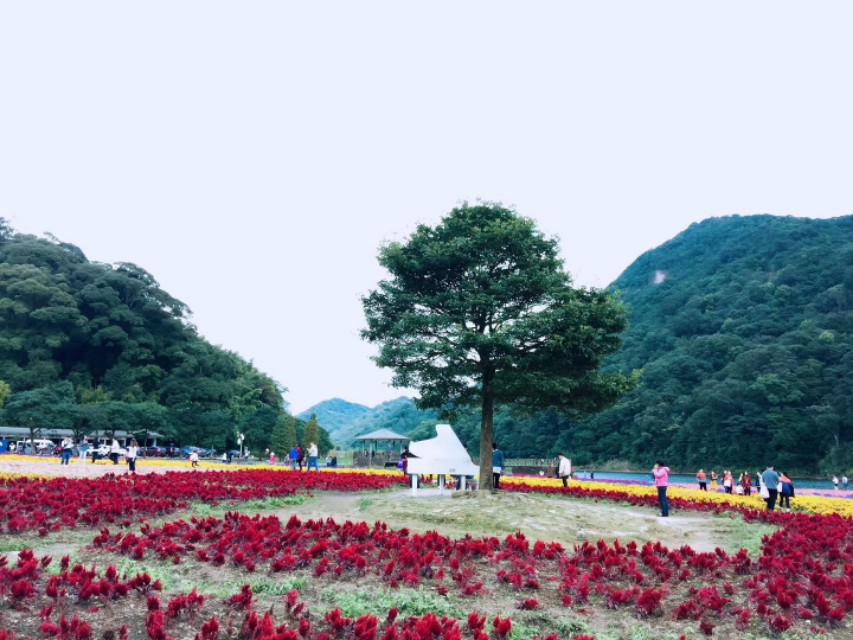 广东石门国家森林公园,广东从化石门山国家森林公园