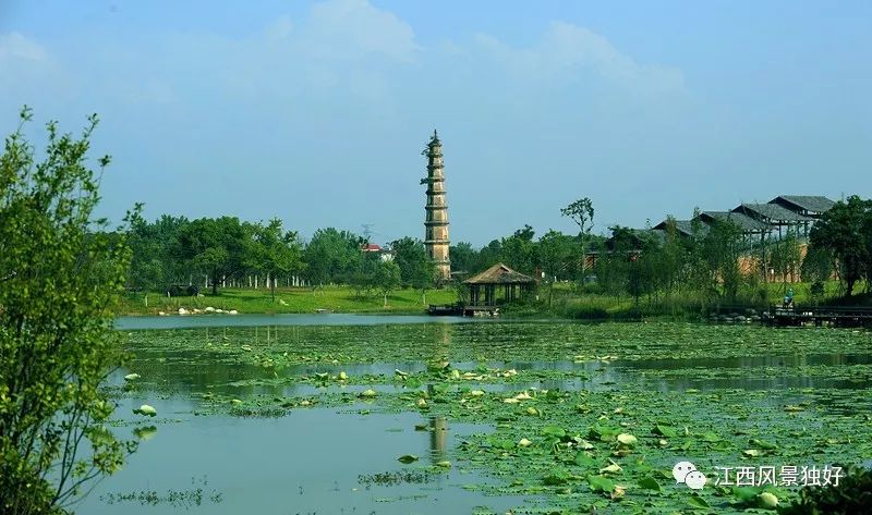 女神节礼物正在配送,江西明月山女神节免票活动开启