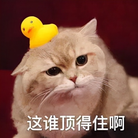 施华蔻被罚,施华蔻自己染头发靠谱不