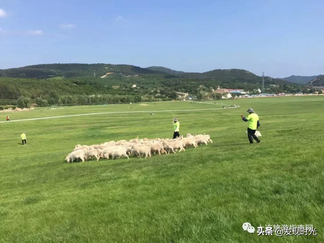 英歌石植物园限行吗,大连英歌石植物园牧场
