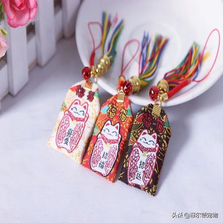 你的好运从天而降免费阅读,你的好运从清晨开始