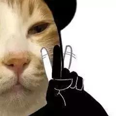 电信停用3g手机还能用吗,3g手机退网对用户有什么影响