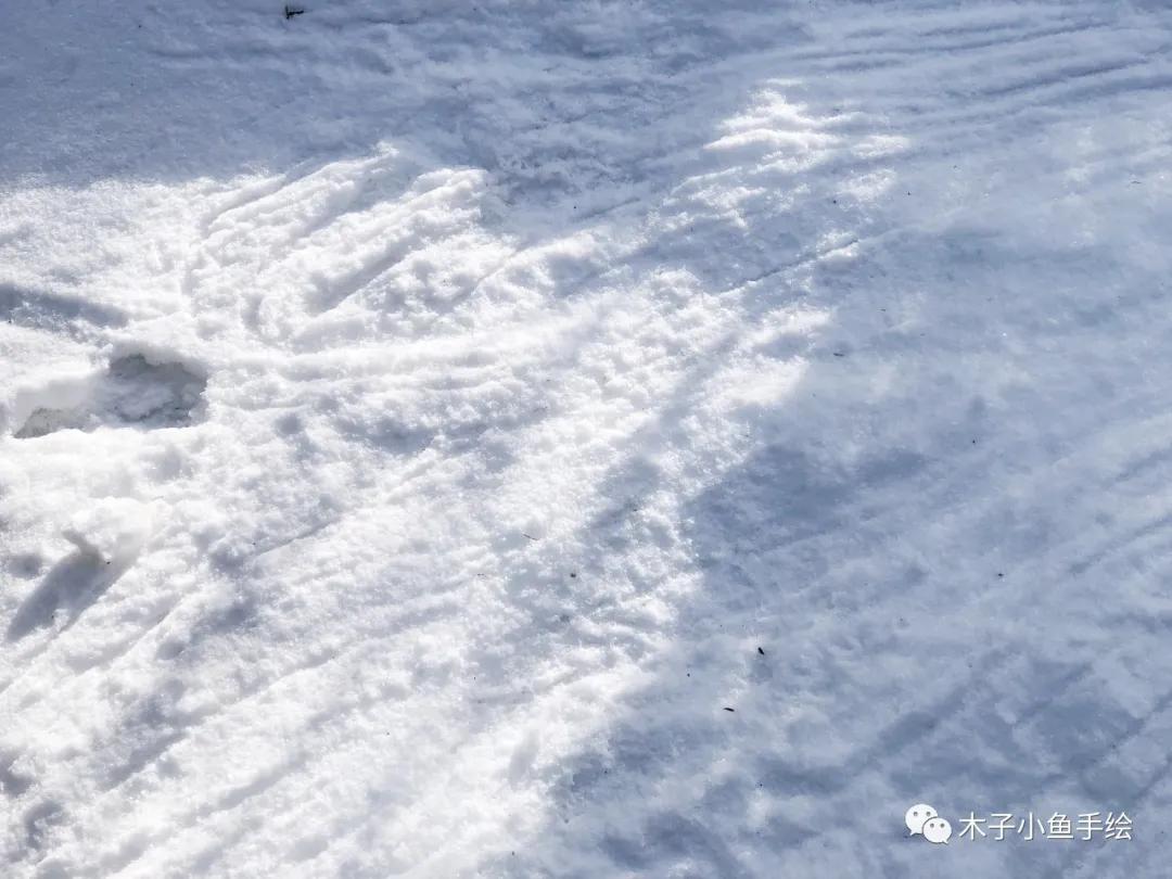 2021九寨沟官方视频,九寨沟跨年夜