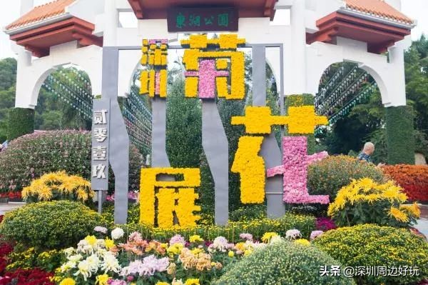 深圳白天游玩公园景点推荐,深圳红树林公园日落