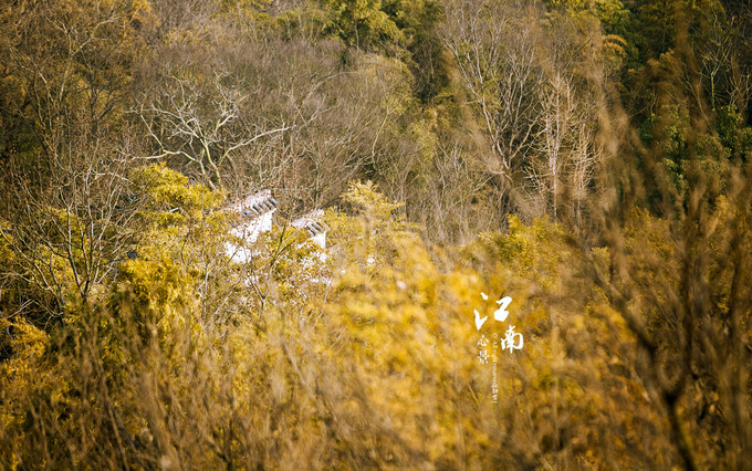 梦幻江南水乡仙境,带你看江南第一古镇