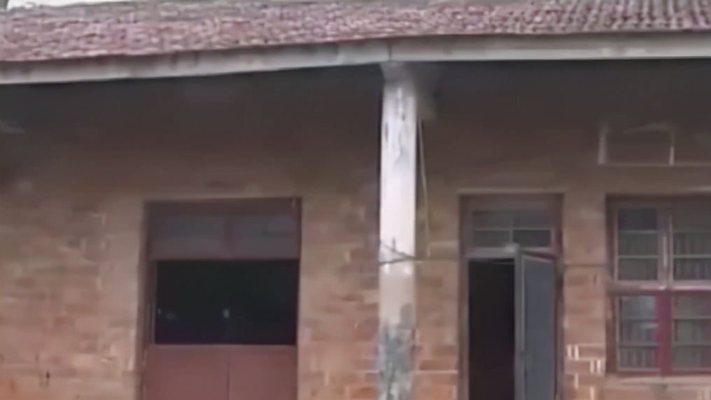 湖南文盲老太成神医了吗,湖南文盲老太被称华佗再世