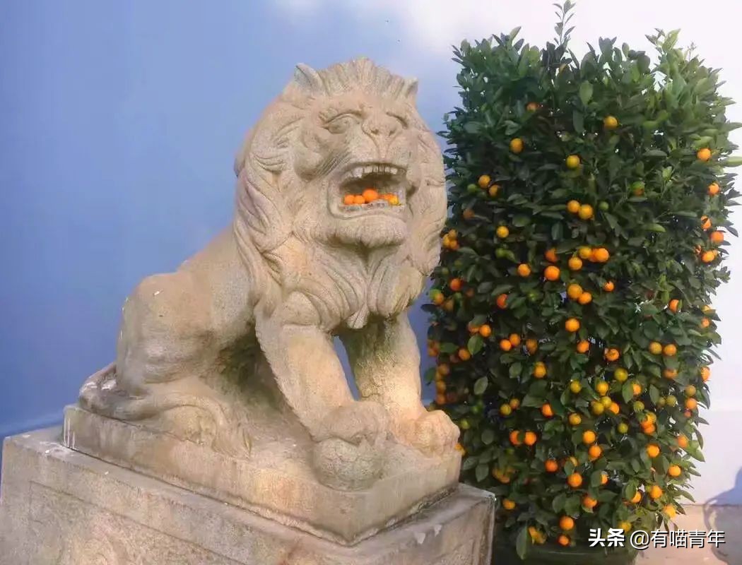 北大石狮子绝育事件,北大石狮子修复了吗