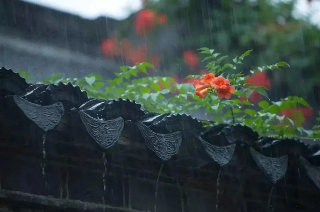 雨带给人的感受,雨给人带来难以捉摸的感伤