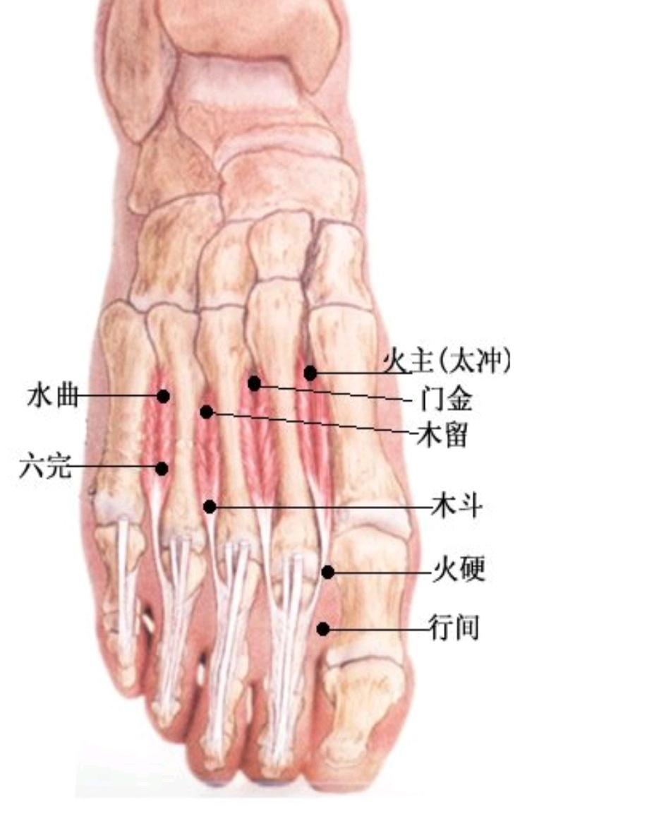 每日一学——学点董穴（1）