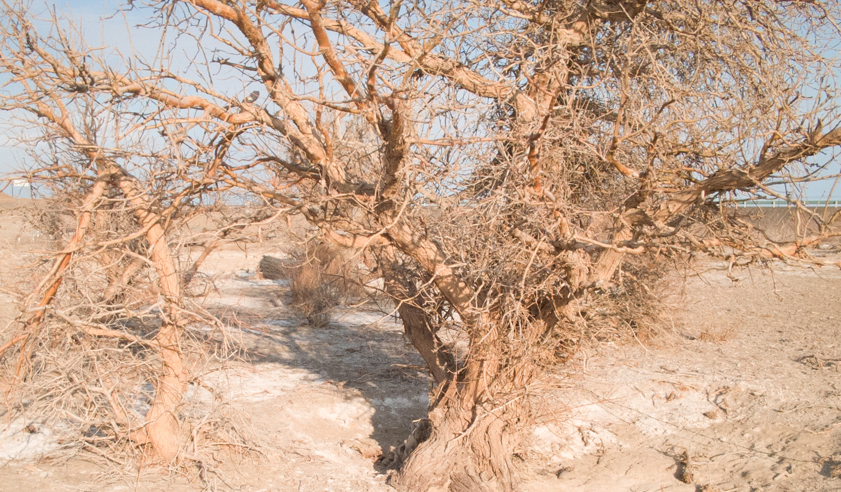 微单2400万像素相当于手机像素,微单2000万像素和4000万像素区别