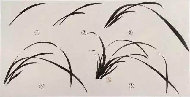 兰花绘画技法教程视频,泰国兰花绘画技法