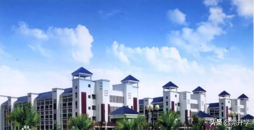 东莞市排名前十的民办中学,东莞中考民办招生分数最高学校