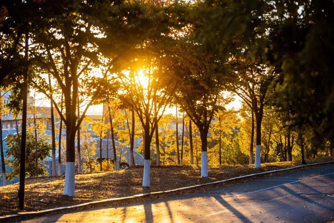 辽宁大连民办大学,大连辽宁二本大学