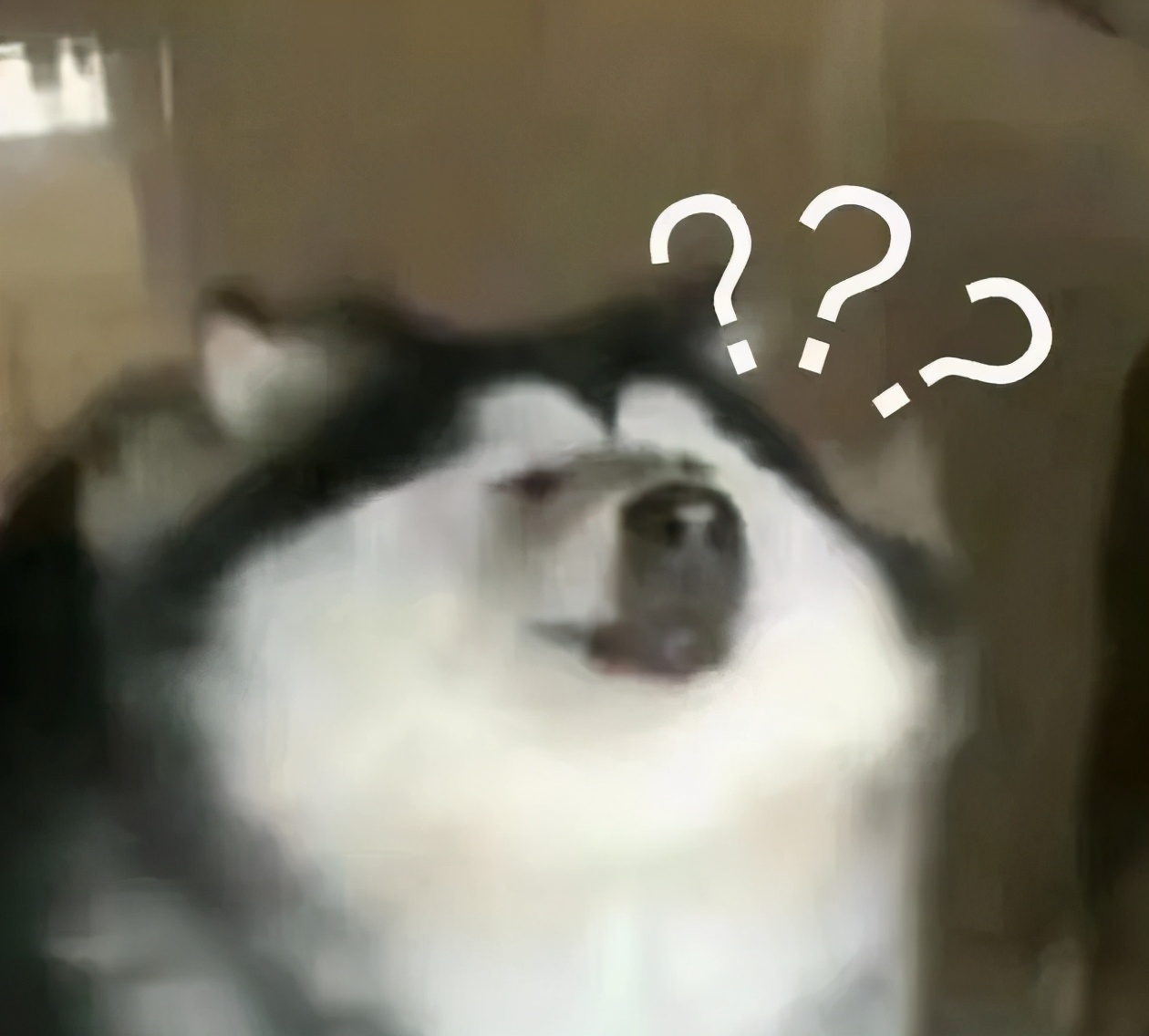 给老公饭里下阳痿药？小说都不敢这么编